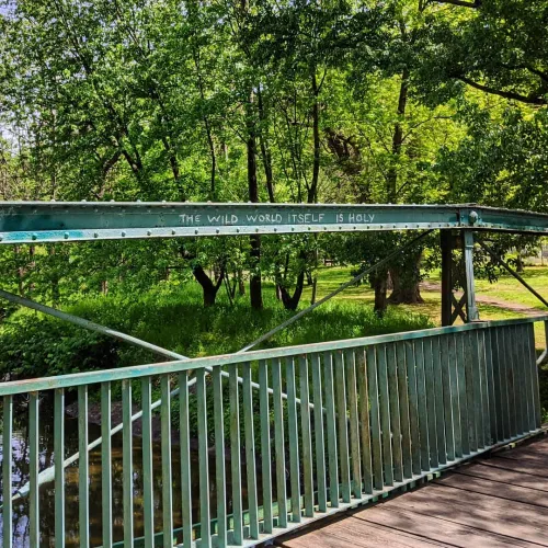 A bridge over Cobbs Creek, with found chalk graffiti that says, "The Wild World Itself Is Holy"