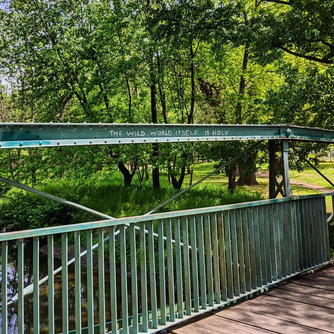 A bridge over Cobbs Creek, with found chalk graffiti that says, "The Wild World Itself Is Holy"