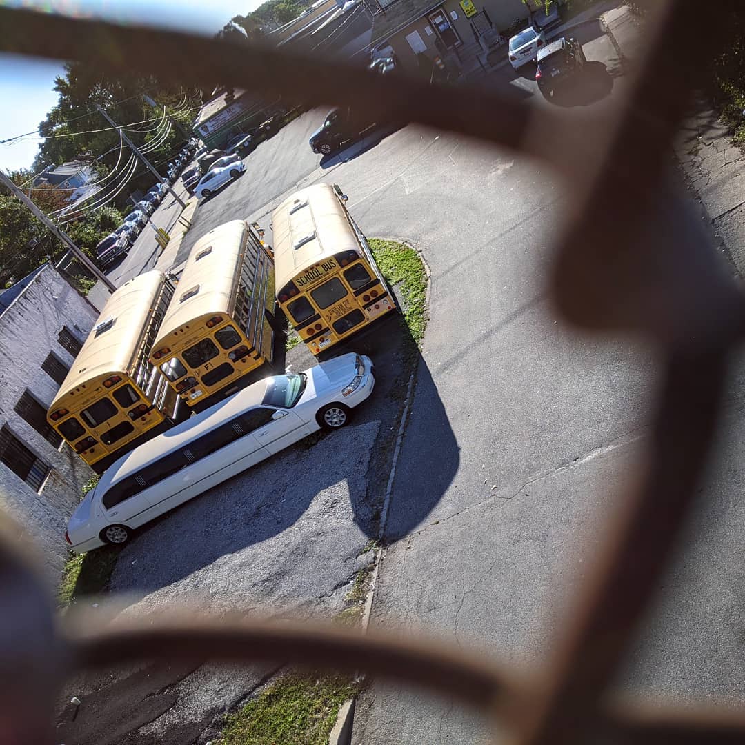 Photo through a chain link fence, looking at three school buses and a white limousine.